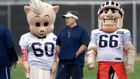 Patriots head coach Bill Belichick watches private workouts of mascot prospects Mr. Pig and Scarlet Knight in March.